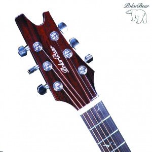 Acoustic guitar 38A-C102