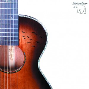 Acoustic guitar 38A-C102