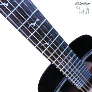 Acoustic guitar 38A-C102