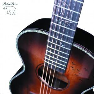 Acoustic guitar 38A-C102